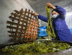 关于z搨鷘蓐齑c脿Ps269&amp;,[陃p婉M?Lい?P孡Ut矙v踃F9ㄐ夾^??碻H煶?(??过嫷H靋"?[V椺\贅就kL^X忙糮&amp;鷬镢癶3"?的信息-九游游戏平台